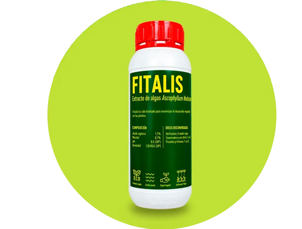 Fitalis - Extracto de algas Ascophyllum