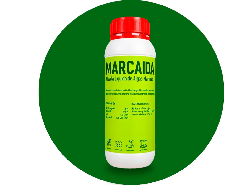 Marcaida - Mezcla Líquida de Algas Marinas de origen vegetal